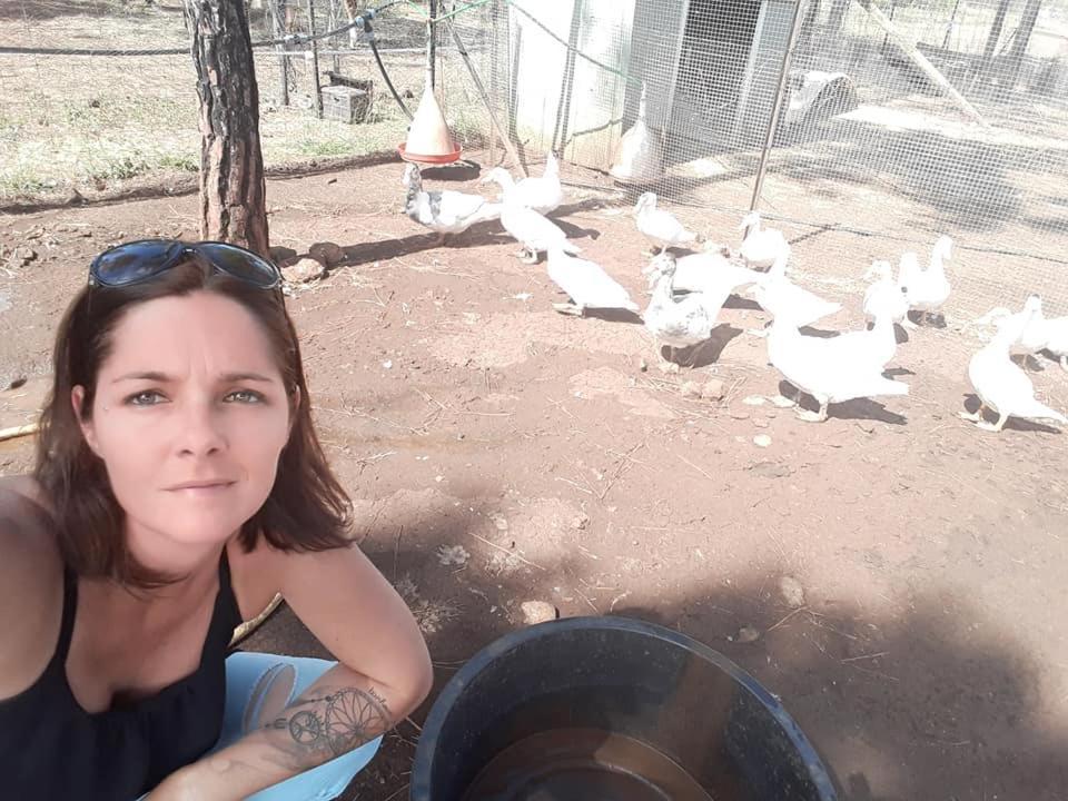 Le Gite Du Koniambo Voh Luaran gambar